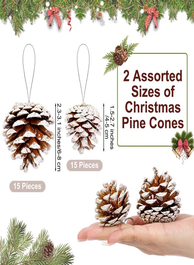 Fovths 30 Pieces 2 Size Christmas Pine Cones with String Mini Rustic Pinecones Bulk Ornaments for Xmas Tree Crafts Holiday Home Hanging Ornament Party Favor Fireplace Table Centerpiece, White - Image 2
